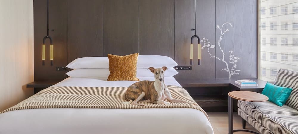 Room amenity