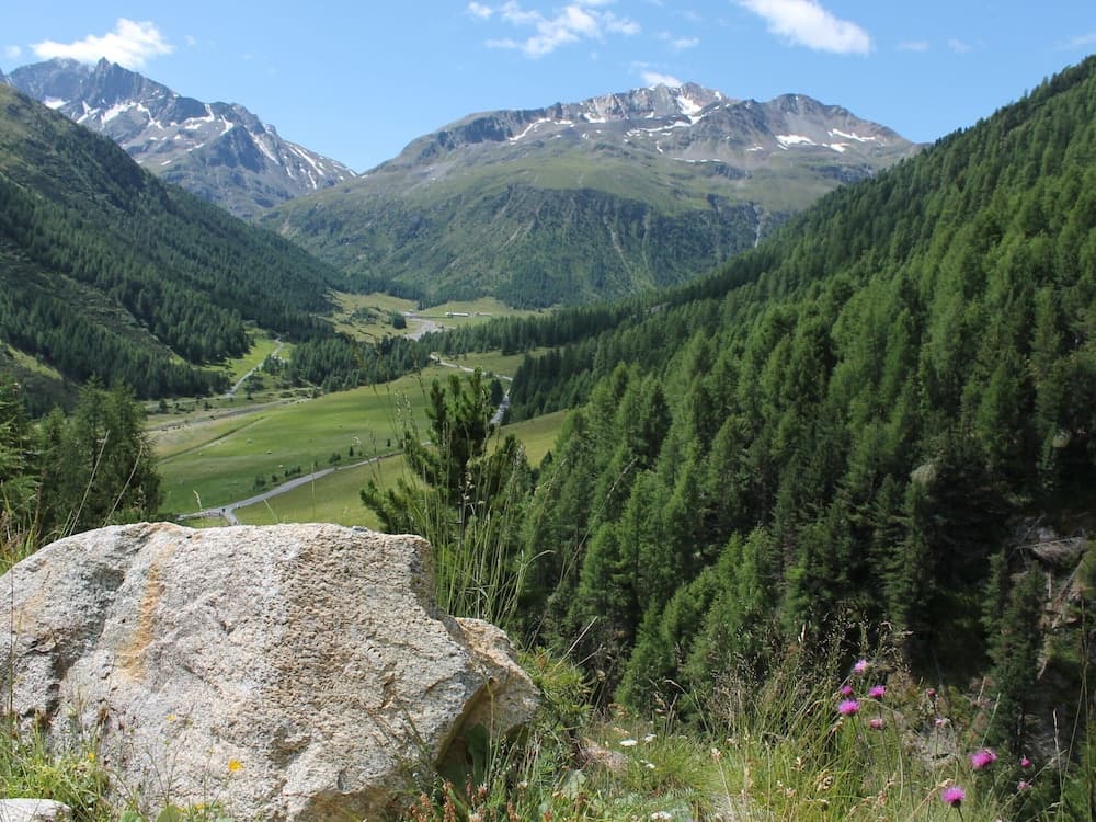 View from property