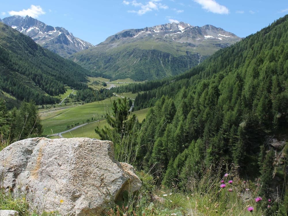 View from property