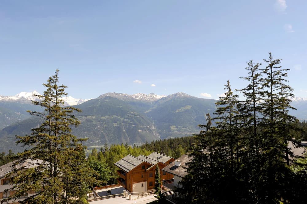 View from room