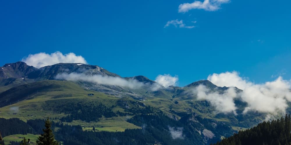 Mountain view