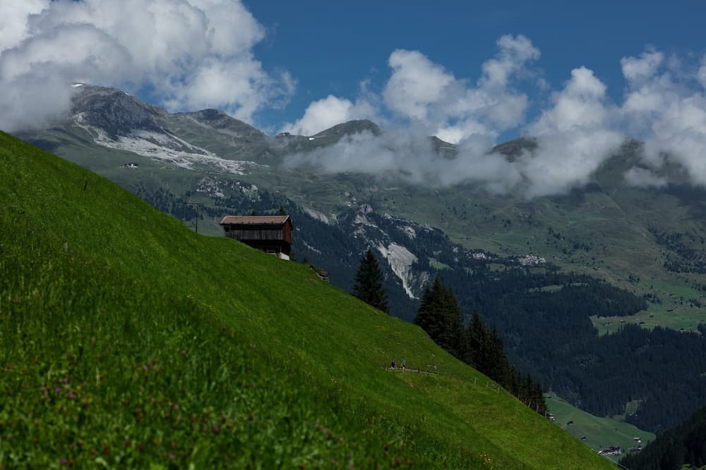 Mountain view