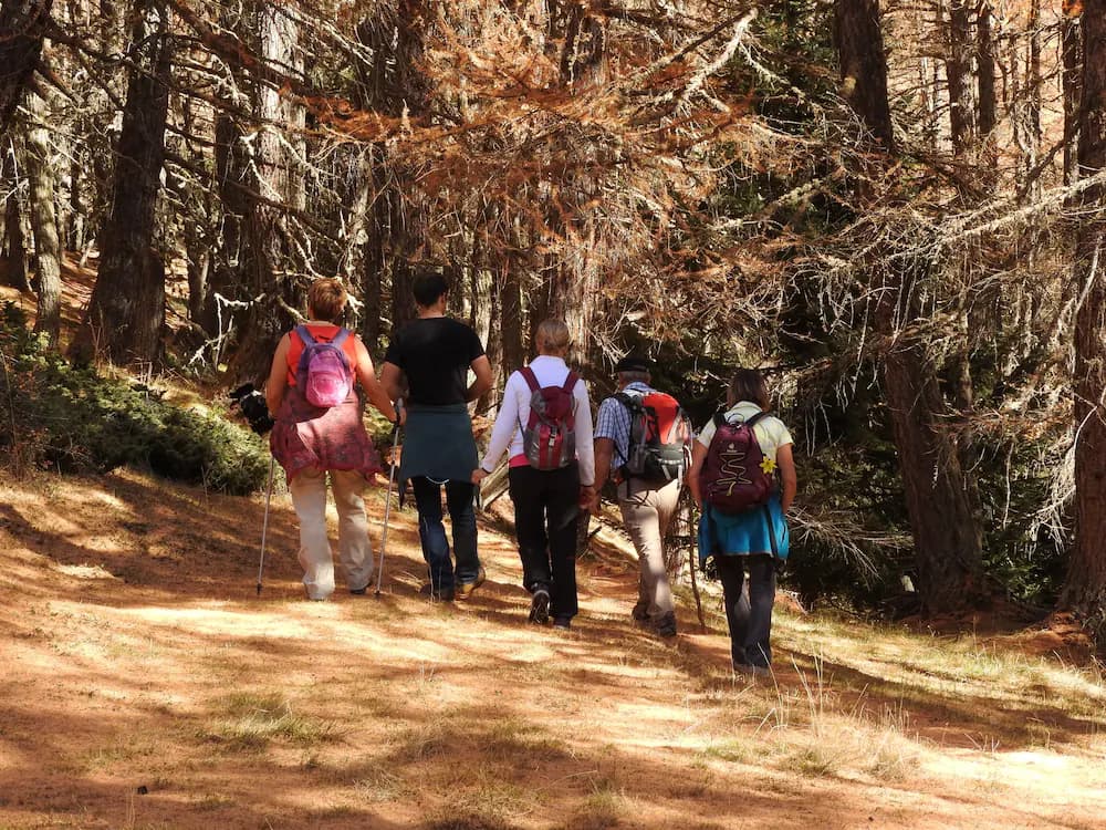 Hiking