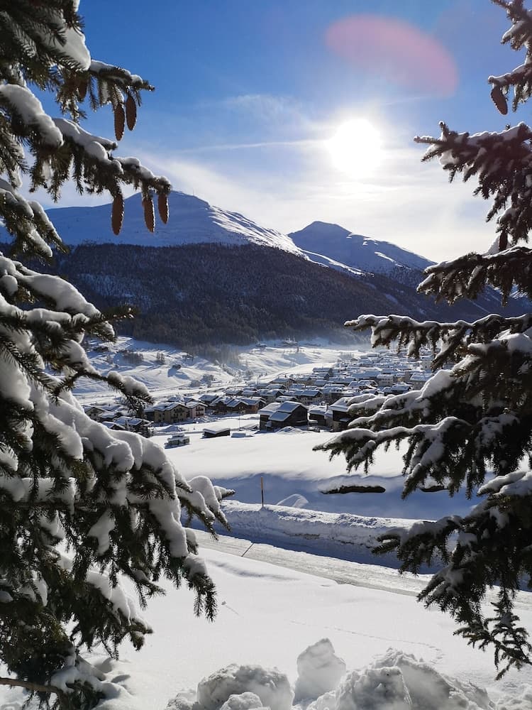 Snowshoeing