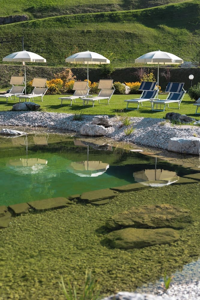 Natural pool