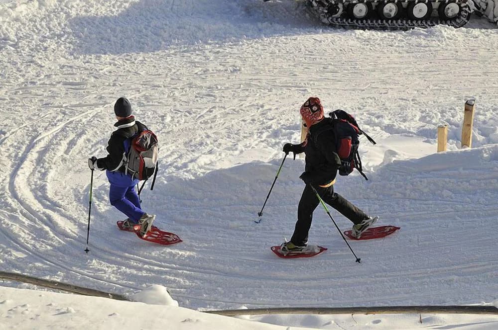 Snow and ski sports