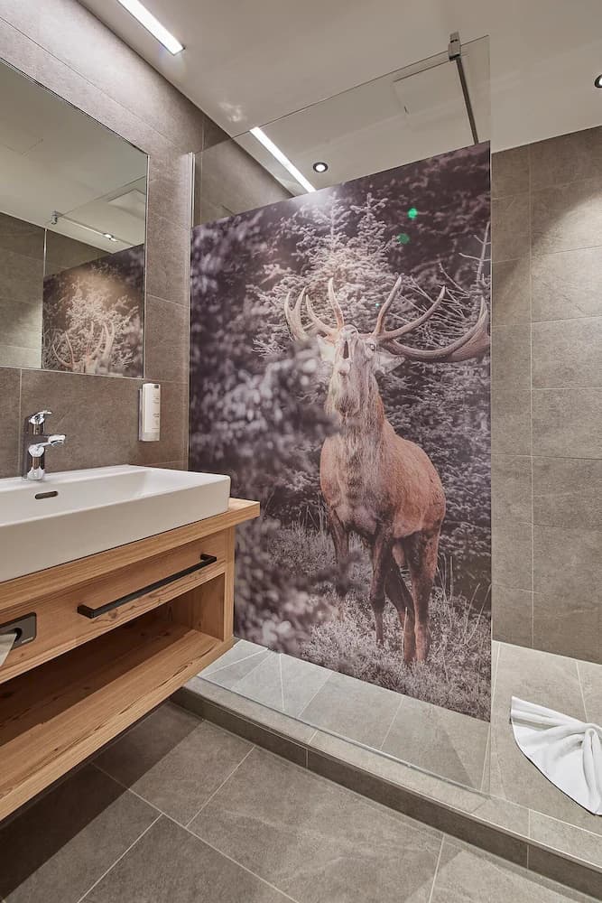 Bathroom shower