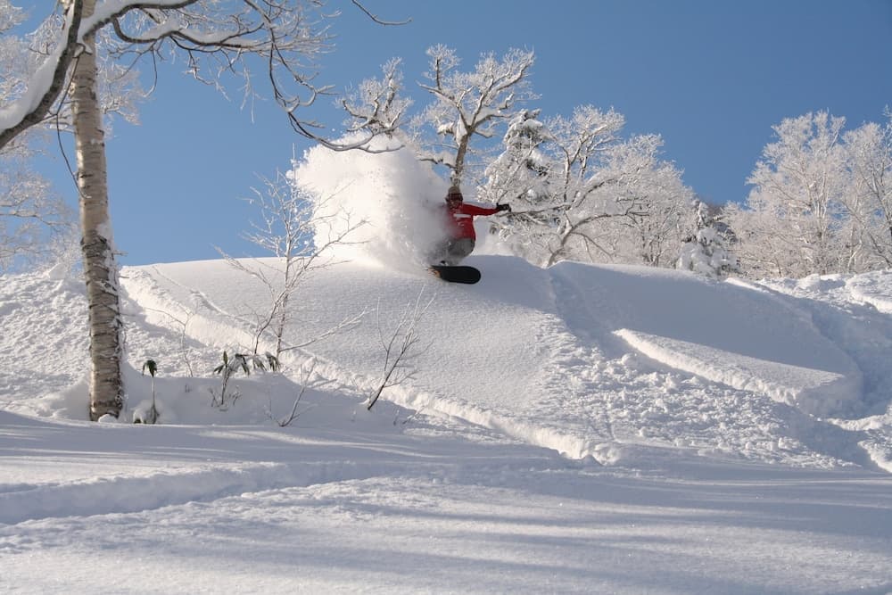 Skiing