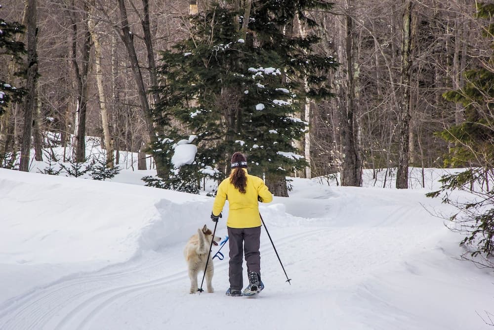 Snowshoeing