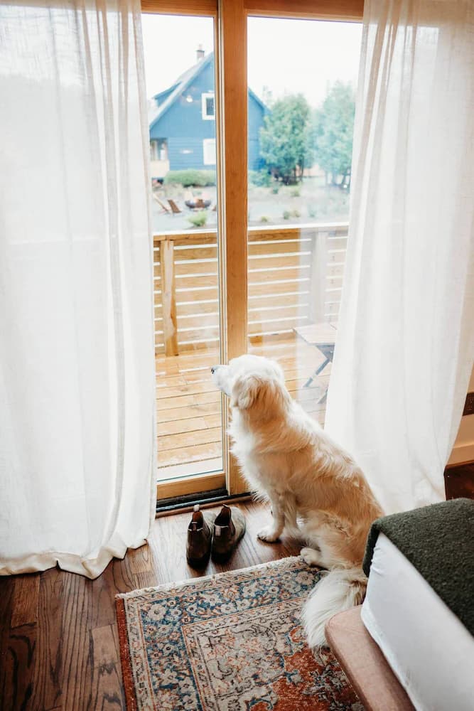 Pet-friendly