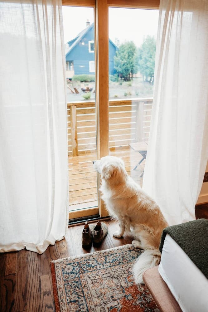 Pet-friendly