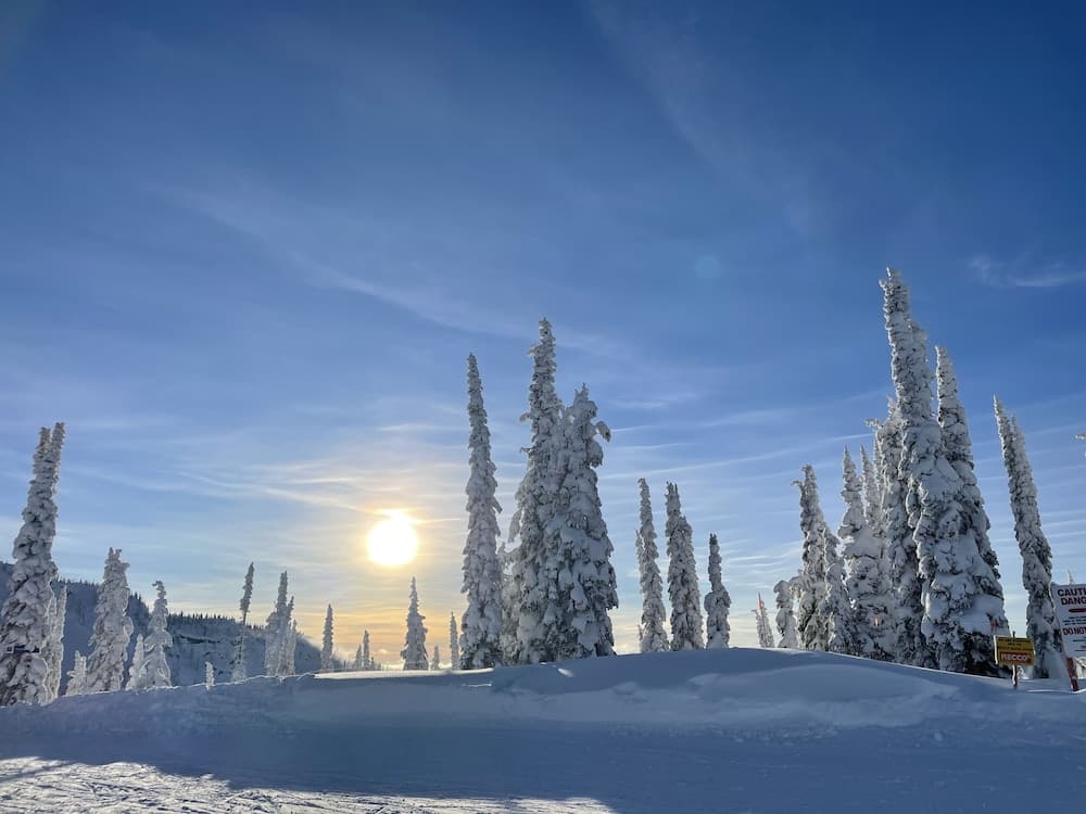 Skiing