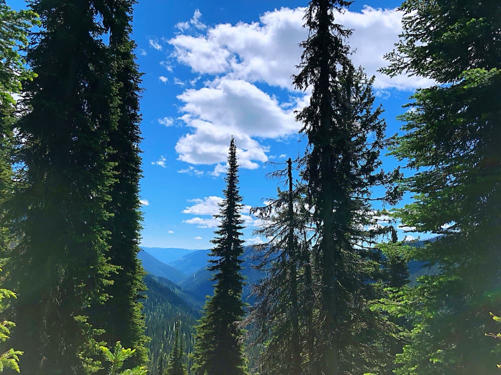 Hiking