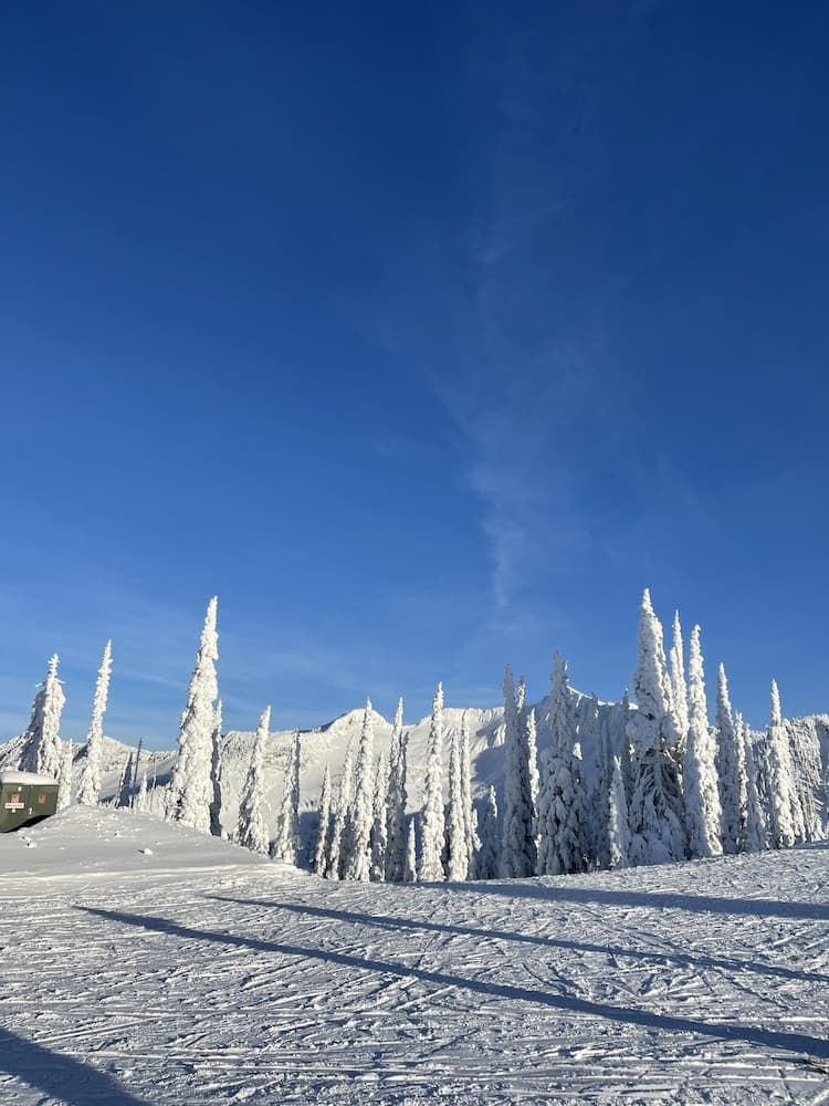 Skiing