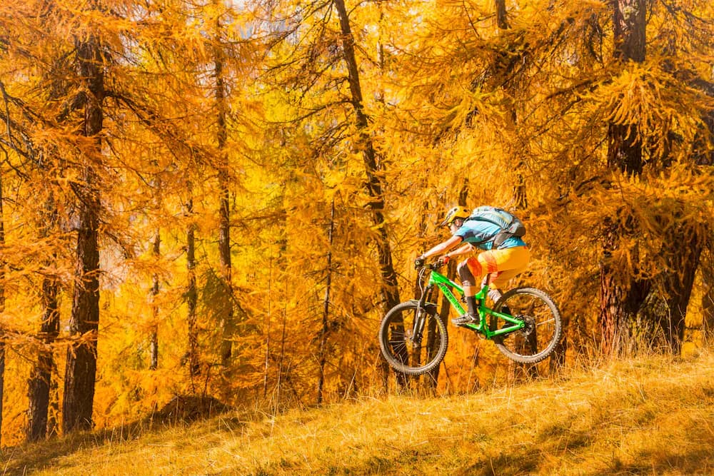 Bicycling