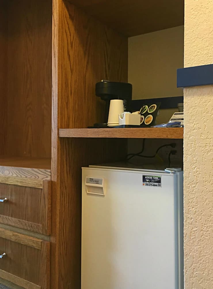 Mini-refrigerator