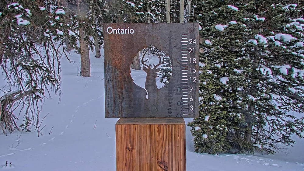 Snow Stake Webcam