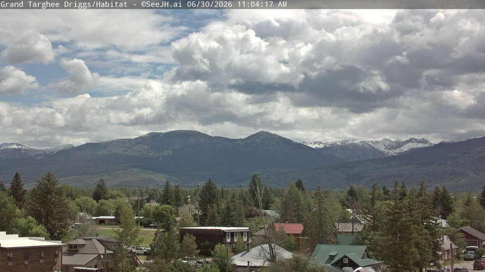 Grand Targhee Resort - Habitat / Colter