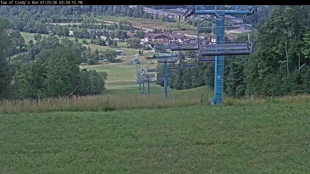 Top of Cindy's