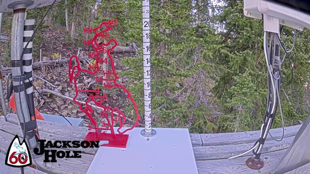 Raymer Snow Stake 