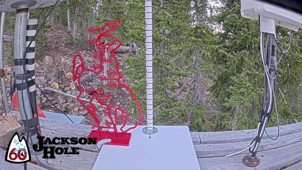Raymer Snow Stake 