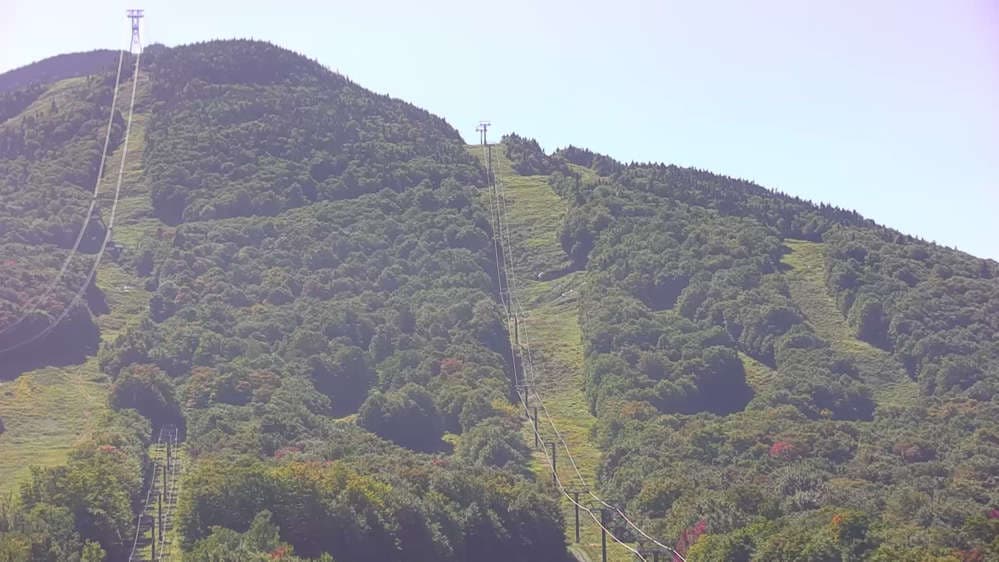 Tramside