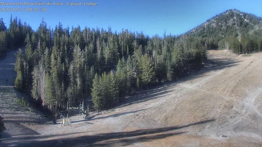 Chair 8 Bottom