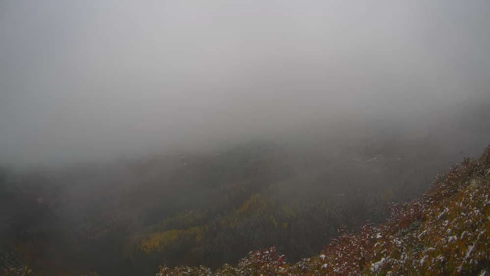 Lookout Cabin Camera