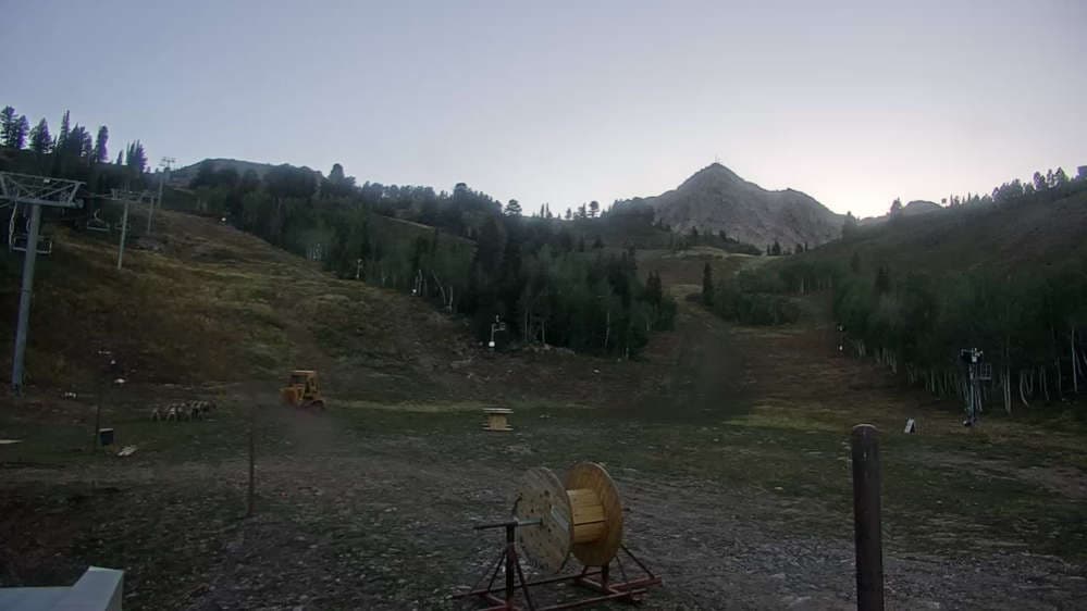 Middle Bowl Base