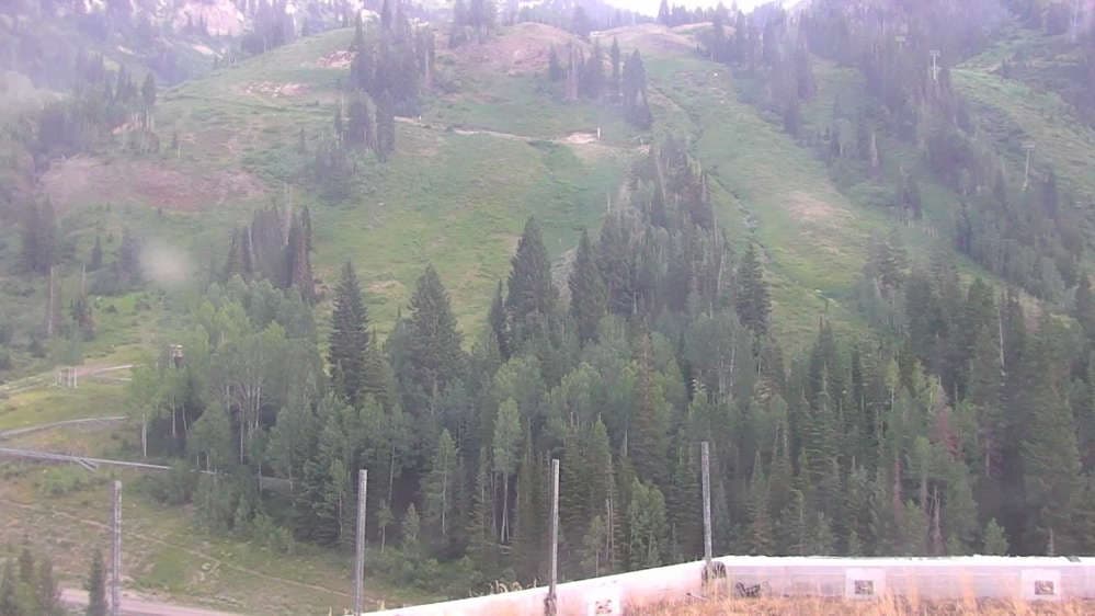 Snowbird - Peruvian Gulch