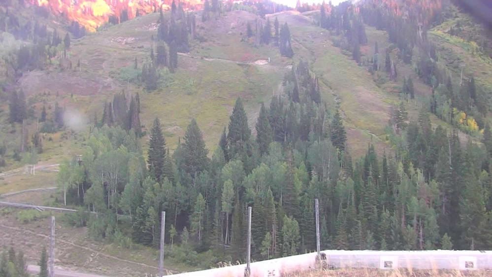 Snowbird - Peruvian Gulch
