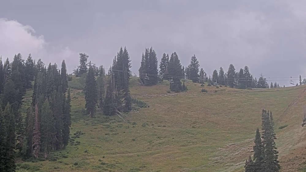 Solitude: Sunshine Bowl Cam