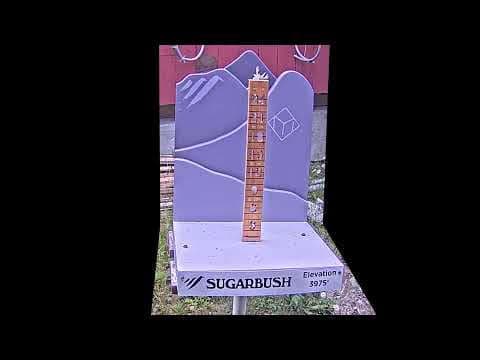 Summit Snow Stake