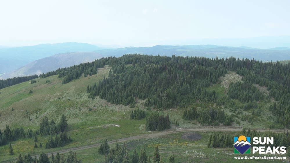West Bowl Express