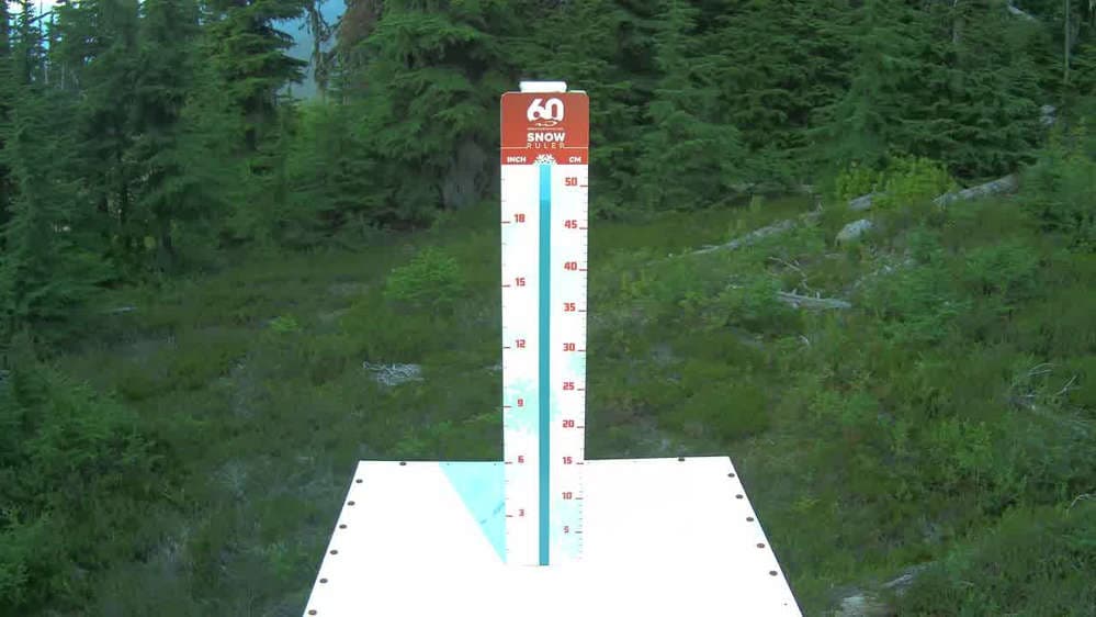 Whistler Snow Stake