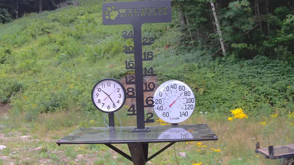 Wildcat Snowstake