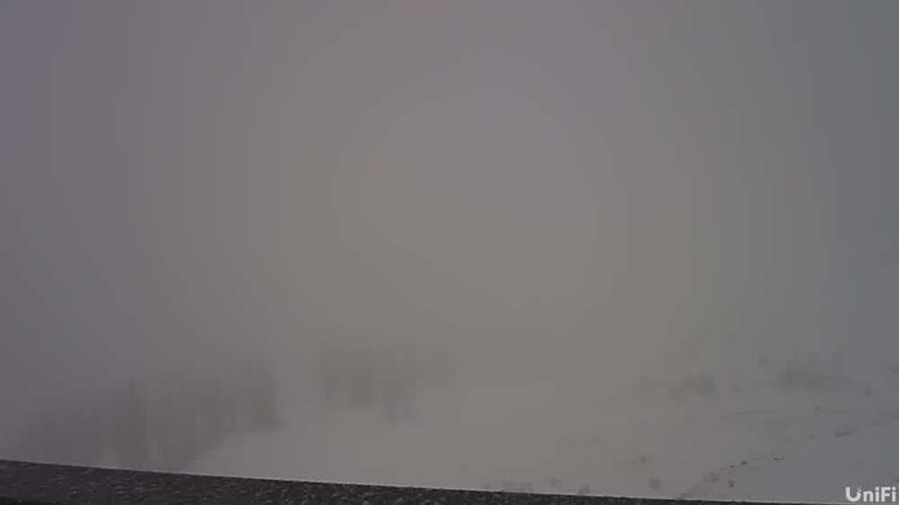 Summit