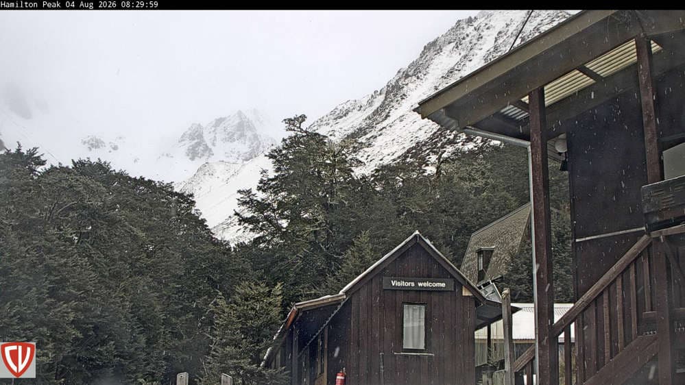 Craigieburn Valley Ski Area - Ngahere