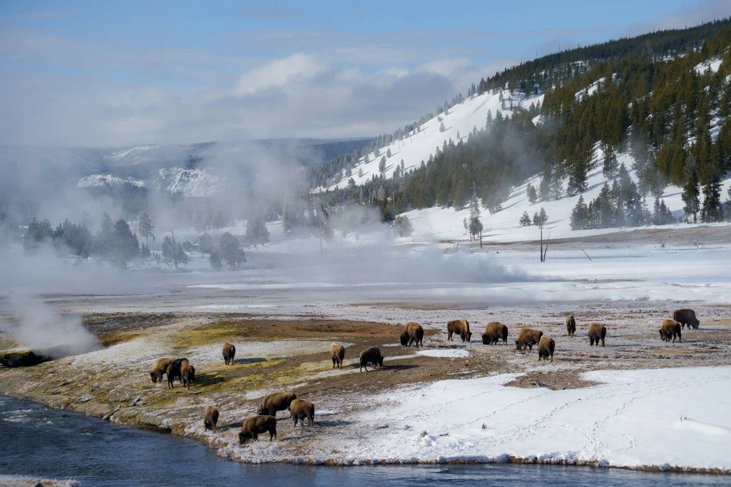 5 Best Ski Resorts in Wyoming, 2024/25