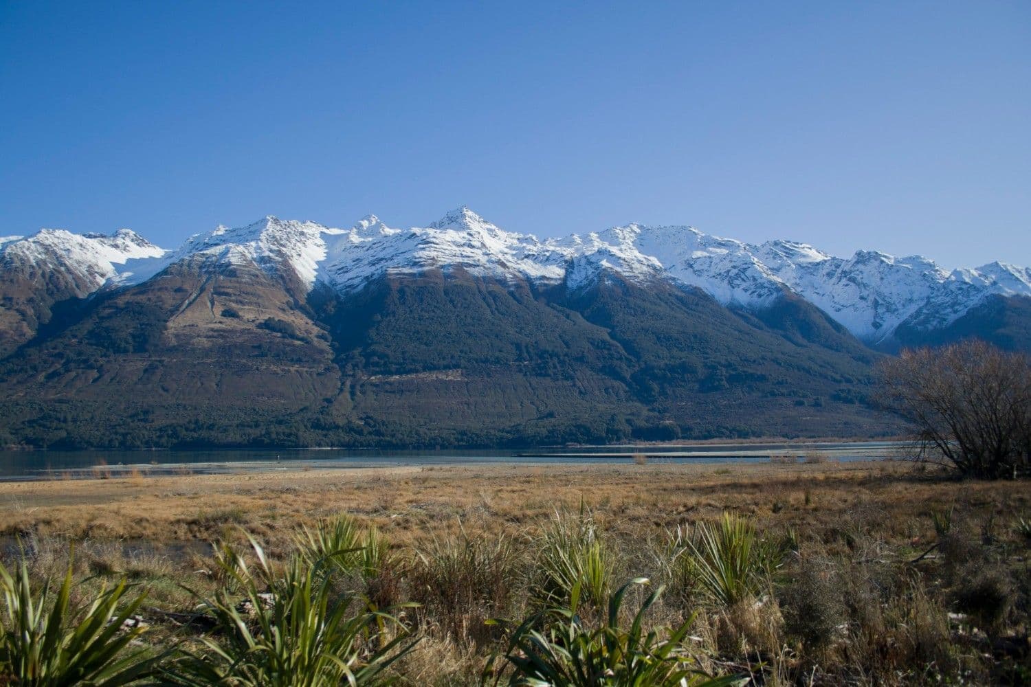 4 Best Ski Resorts in Queenstown, 2026/27